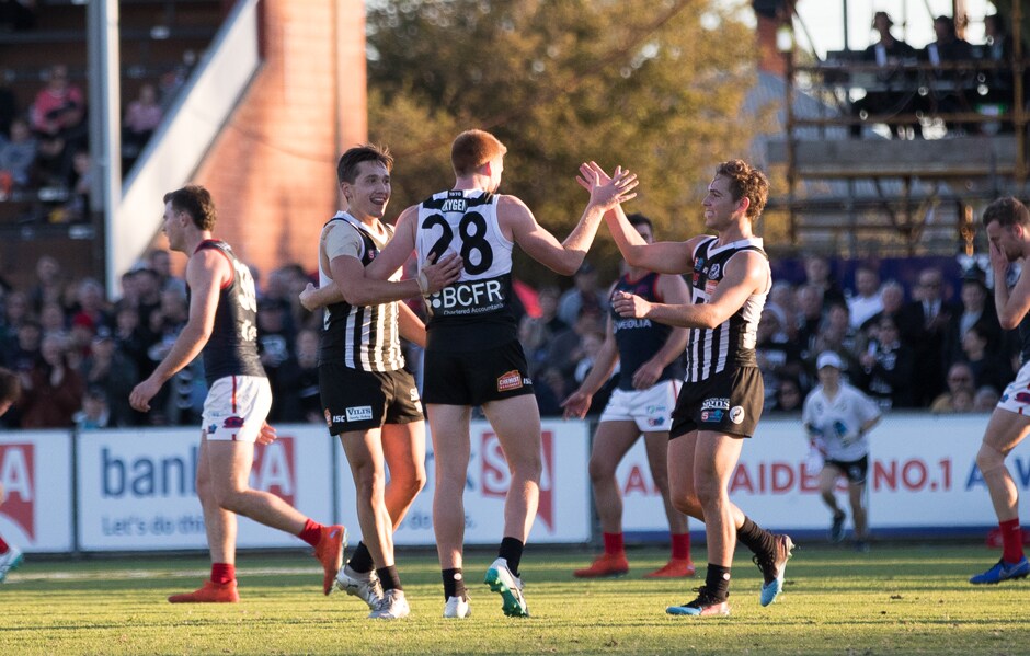 SANFL-finals-qualification-main.jpg 20 AFL-listed Port Adelaide players are eligible to play for the Magpies during the upcoming 2019 SANFL Statewide Super finals series. - Port Adelaide Magpies